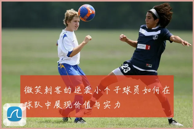 微笑刺客的逆袭小个子球员如何在球队中展现价值与实力